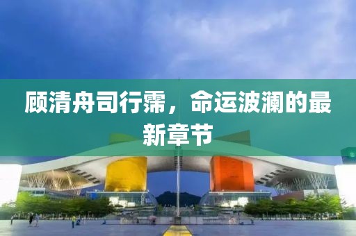 顾清舟司行霈，命运波澜的最新章节