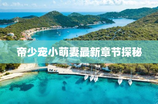 帝少宠小萌妻最新章节探秘