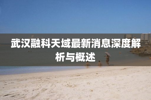 武汉融科天域最新消息深度解析与概述