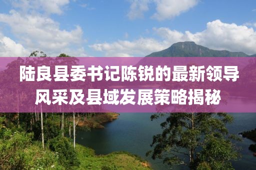 陆良县委书记陈锐的最新领导风采及县域发展策略揭秘