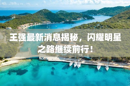 2025年1月 第17页