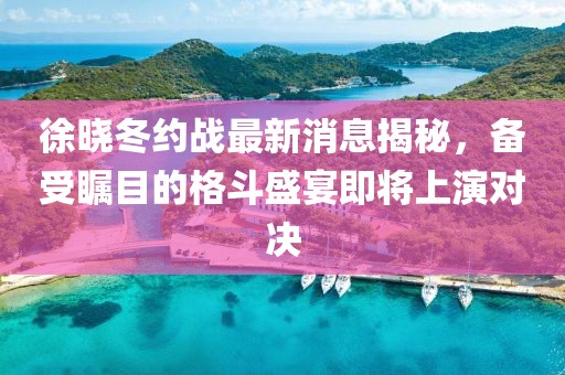 徐晓冬约战最新消息揭秘，备受瞩目的格斗盛宴即将上演对决