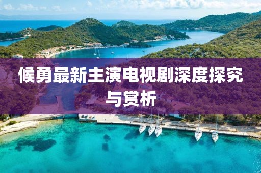 候勇最新主演电视剧深度探究与赏析