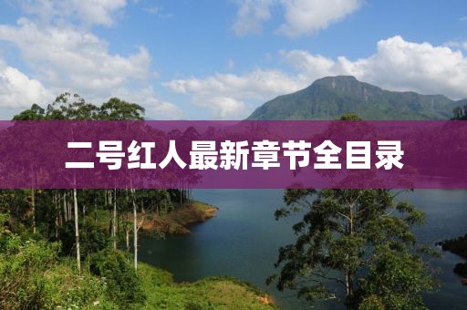 二号红人最新章节全目录