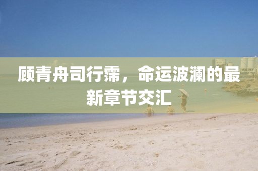 顾青舟司行霈，命运波澜的最新章节交汇