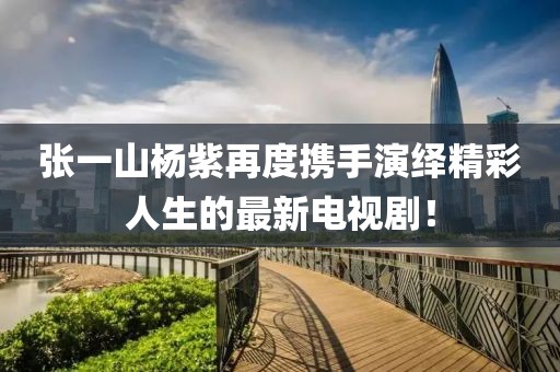 张一山杨紫再度携手演绎精彩人生的最新电视剧！