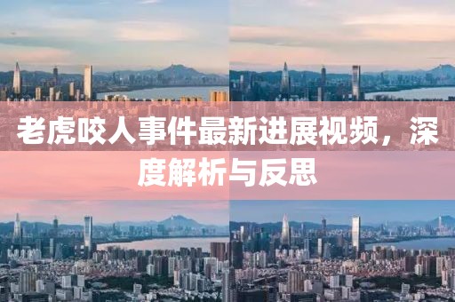 老虎咬人事件最新进展视频，深度解析与反思