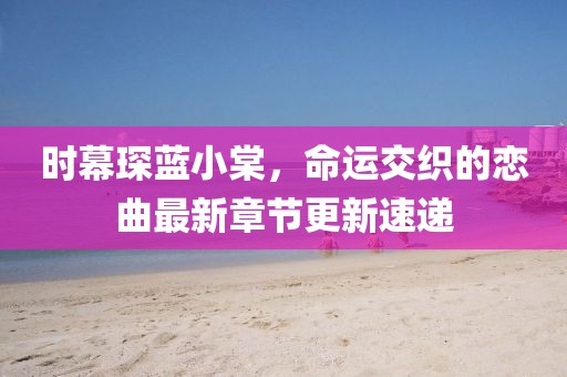 时幕琛蓝小棠，命运交织的恋曲最新章节更新速递