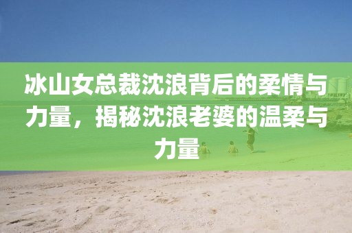 冰山女总裁沈浪背后的柔情与力量，揭秘沈浪老婆的温柔与力量