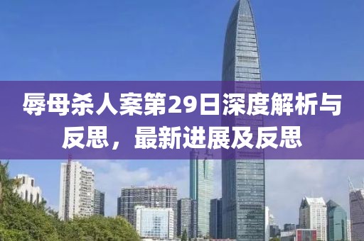 辱母杀人案第29日深度解析与反思，最新进展及反思