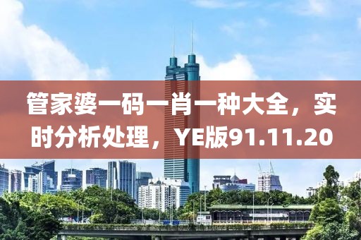 管家婆一码一肖一种大全，实时分析处理，YE版91.11.20