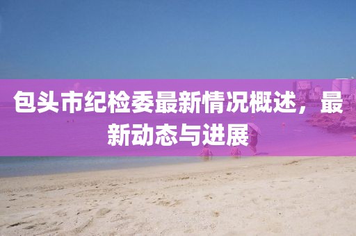 包头市纪检委最新情况概述，最新动态与进展