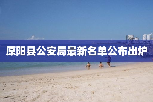 原阳县公安局最新名单公布出炉