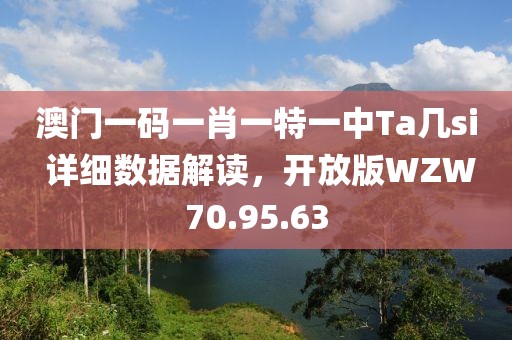澳门一码一肖一特一中Ta几si 详细数据解读，开放版WZW70.95.63