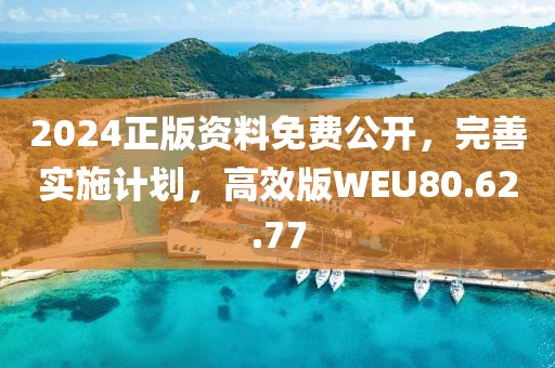 2024正版资料免费公开，完善实施计划，高效版WEU80.62.77