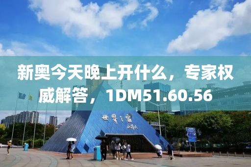 新奥今天晚上开什么，专家权威解答，1DM51.60.56