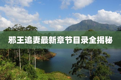 邪王追妻最新章节目录全揭秘