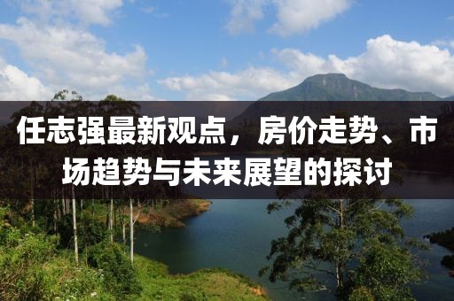 任志强最新观点，房价走势、市场趋势与未来展望的探讨