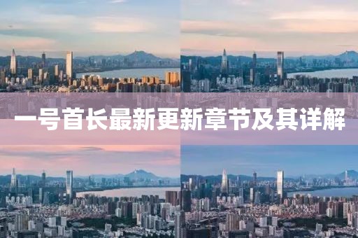 一号首长最新更新章节及其详解