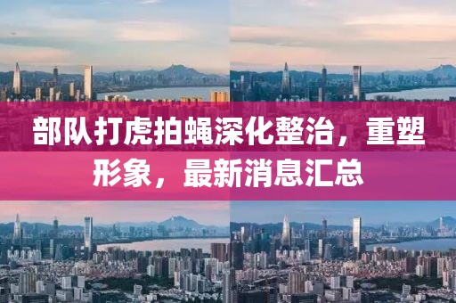 部队打虎拍蝇深化整治，重塑形象，最新消息汇总