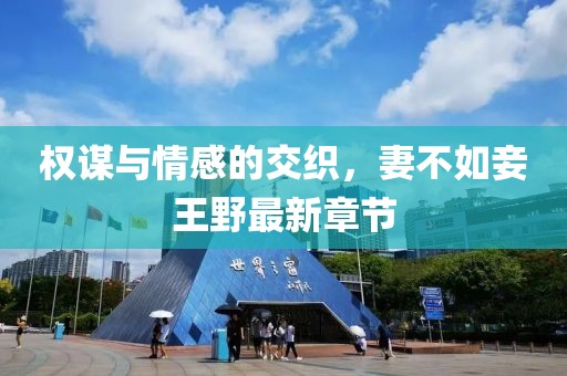 权谋与情感的交织，妻不如妾王野最新章节