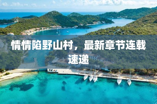 情情陷野山村，最新章节连载速递