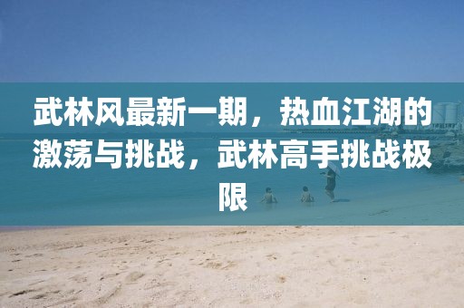 武林风最新一期，热血江湖的激荡与挑战，武林高手挑战极限