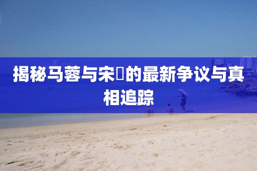 揭秘马蓉与宋喆的最新争议与真相追踪