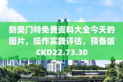 新奥门特免费资料大全今天的图片，操作实践评估，预备版CKD22.73.30