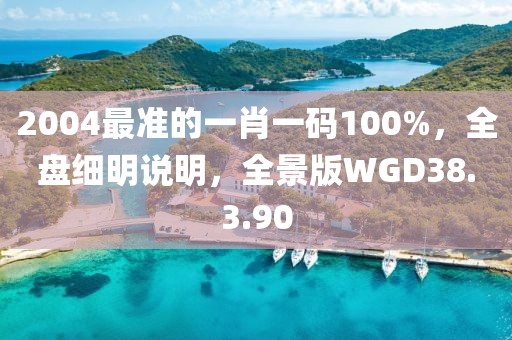 2004最准的一肖一码100%，全盘细明说明，全景版WGD38.3.90