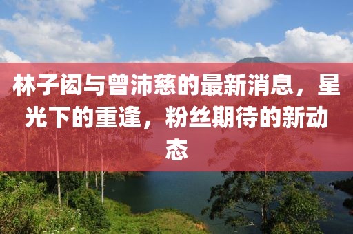 林子闳与曾沛慈的最新消息，星光下的重逢，粉丝期待的新动态