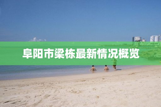 阜阳市梁栋最新情况概览