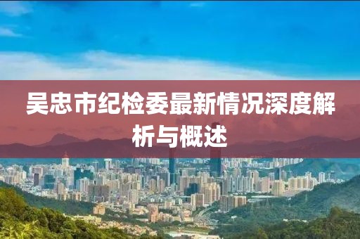 吴忠市纪检委最新情况深度解析与概述