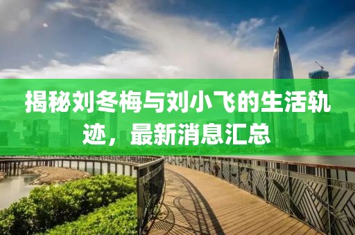 揭秘刘冬梅与刘小飞的生活轨迹，最新消息汇总