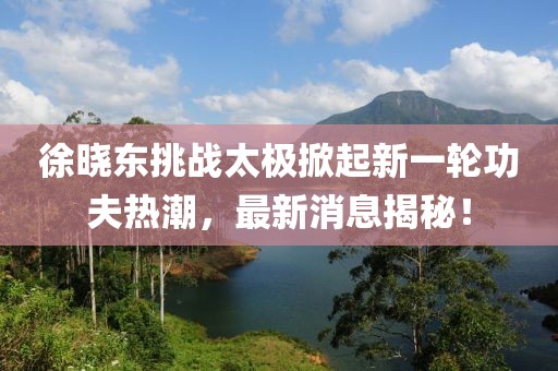 徐晓东挑战太极掀起新一轮功夫热潮，最新消息揭秘！