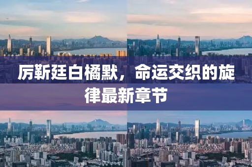 厉靳廷白橘默，命运交织的旋律最新章节
