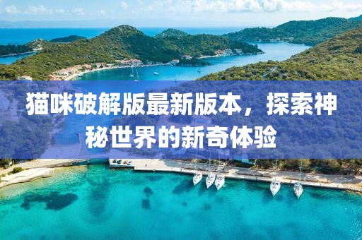 猫咪破解版最新版本，探索神秘世界的新奇体验