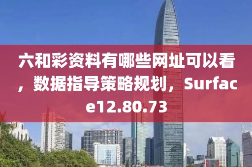 六和彩资料有哪些网址可以看，数据指导策略规划，Surface12.80.73