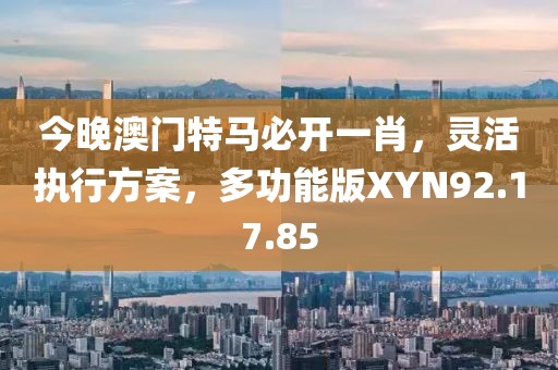 今晚澳门特马必开一肖，灵活执行方案，多功能版XYN92.17.85