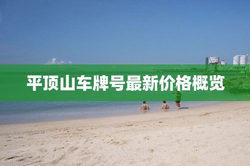 平顶山车牌号最新价格概览