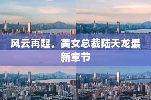 风云再起，美女总裁陆天龙最新章节