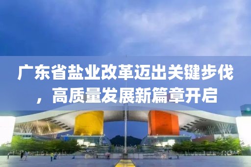 广东省盐业改革迈出关键步伐，高质量发展新篇章开启