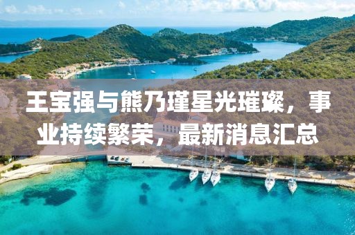 王宝强与熊乃瑾星光璀璨，事业持续繁荣，最新消息汇总