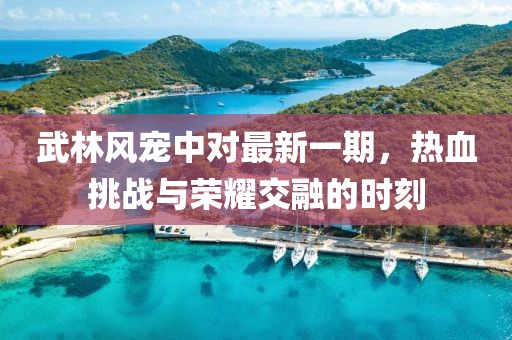 武林风宠中对最新一期，热血挑战与荣耀交融的时刻
