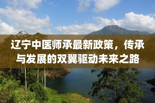 辽宁中医师承最新政策，传承与发展的双翼驱动未来之路