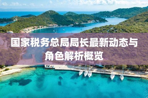 国家税务总局局长最新动态与角色解析概览