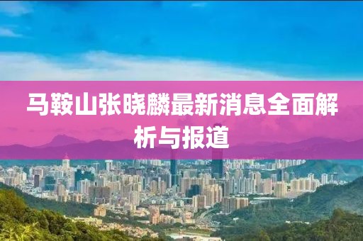马鞍山张晓麟最新消息全面解析与报道
