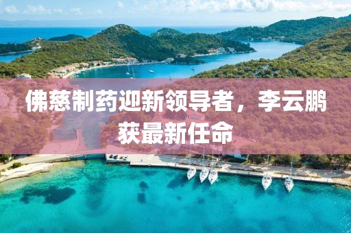 顛峰战犯 第32页