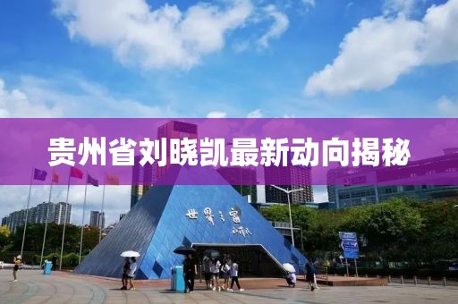 贵州省刘晓凯最新动向揭秘