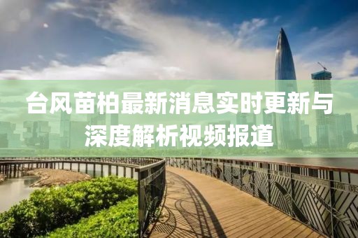 台风苗柏最新消息实时更新与深度解析视频报道